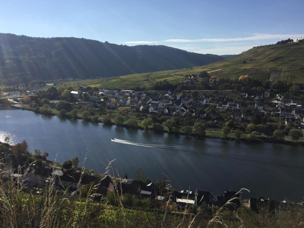 Mosel-Appartements Nehren 첼 안 데어 모젤 외부 사진
