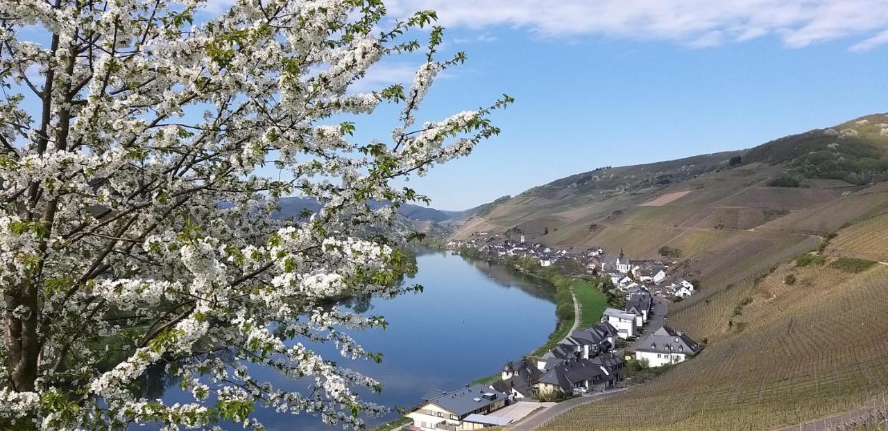 Mosel-Appartements Nehren 첼 안 데어 모젤 외부 사진