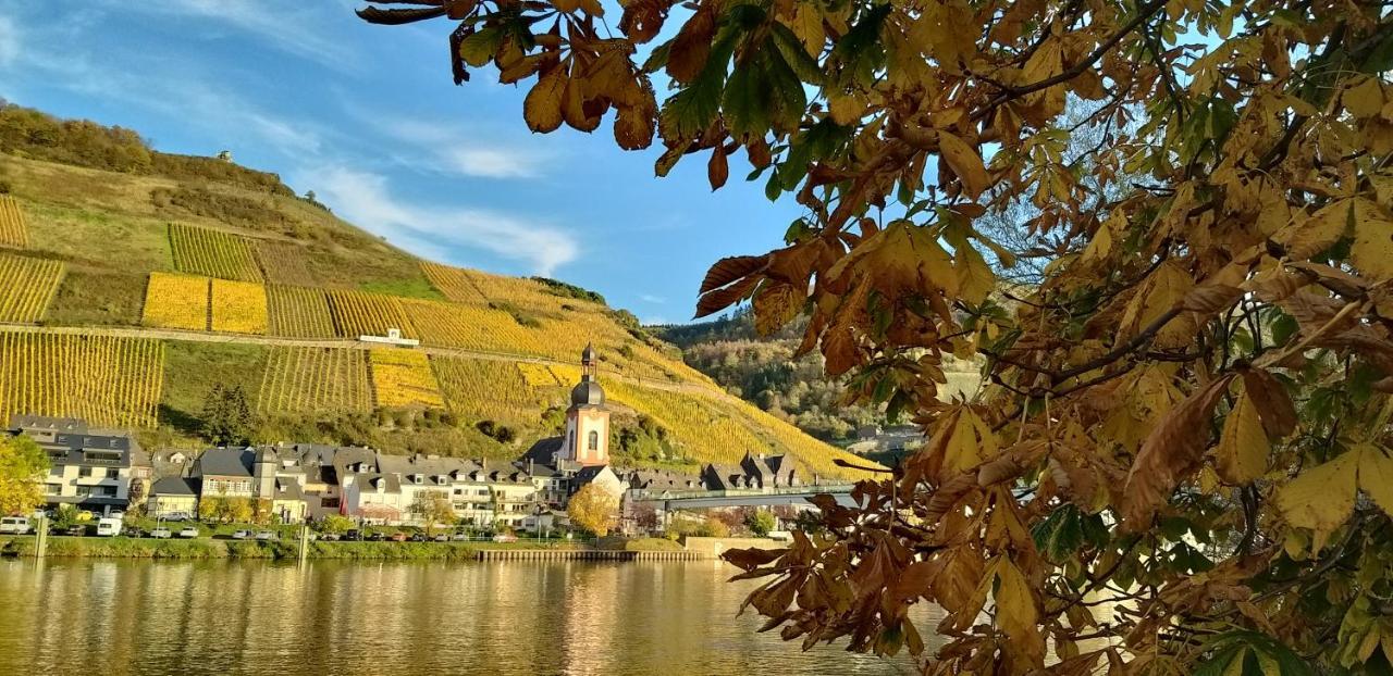 Mosel-Appartements Nehren 첼 안 데어 모젤 외부 사진